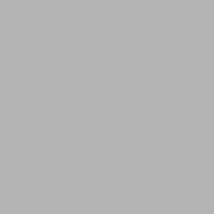 Silver finish swatch